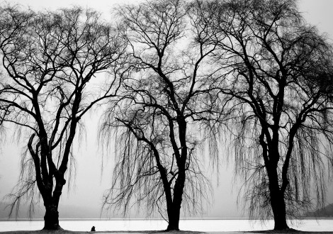 Hauntings